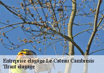 Entreprise élagage le-cateau-cambresis-59360 Clement élagage