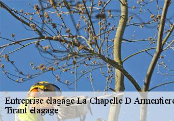 Entreprise élagage la-chapelle-d-armentieres-59930 Tirant élagage