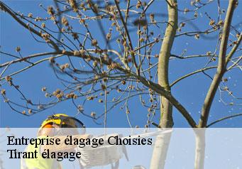 Entreprise élagage choisies-59740 Tirant élagage