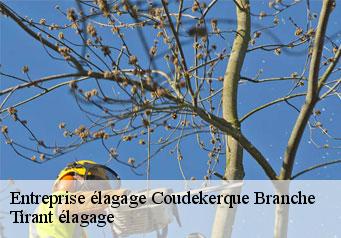 Entreprise élagage coudekerque-branche-59210 Tirant élagage