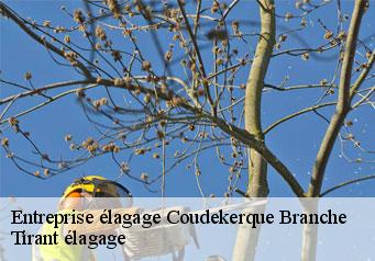 Entreprise élagage  coudekerque-branche-59210 Tirant élagage