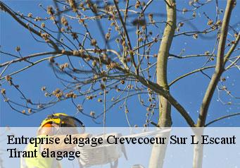 Entreprise élagage  crevecoeur-sur-l-escaut-59258 Tirant élagage