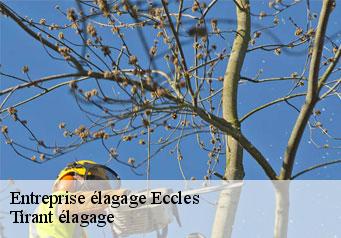 Entreprise élagage eccles-59740 Tirant élagage