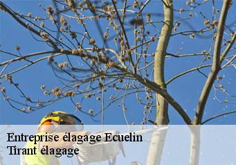 Entreprise élagage ecuelin-59620 Tirant élagage