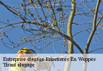 Entreprise élagage  ennetieres-en-weppes-59320 Tirant élagage