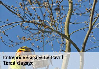 Entreprise élagage le-favril-59550 Tirant élagage