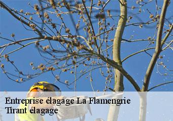 Entreprise élagage  la-flamengrie-59570 Tirant élagage