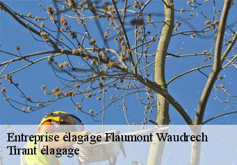 Entreprise élagage flaumont-waudrech-59440 Clement élagage