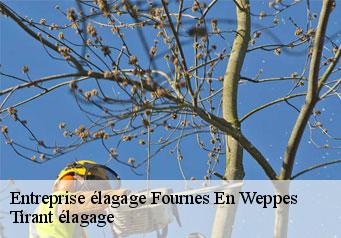 Entreprise élagage fournes-en-weppes-59134 Tirant élagage