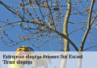 Entreprise élagage  fresnes-sur-escaut-59970 Tirant élagage