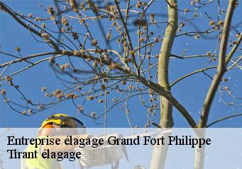 Entreprise élagage  grand-fort-philippe-59153 Tirant élagage