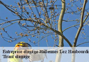 Entreprise élagage hallennes-lez-haubourdin-59320 Tirant élagage