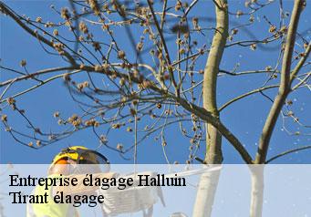 Entreprise élagage halluin-59250 Tirant élagage