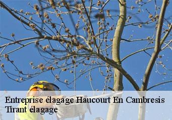 Entreprise élagage  haucourt-en-cambresis-59191 Tirant élagage