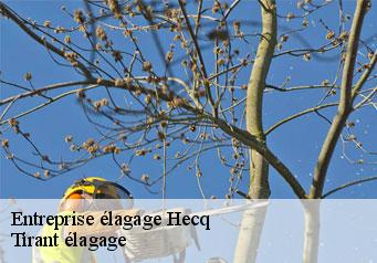 Entreprise élagage hecq-59530 Clement élagage