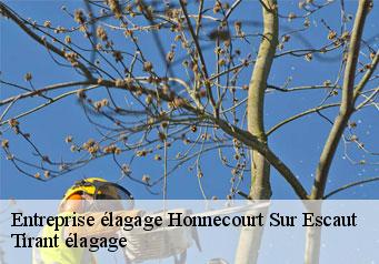 Entreprise élagage  honnecourt-sur-escaut-59266 Tirant élagage