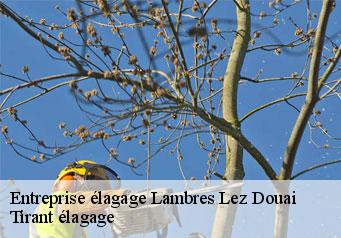 Entreprise élagage lambres-lez-douai-59552 Clement élagage