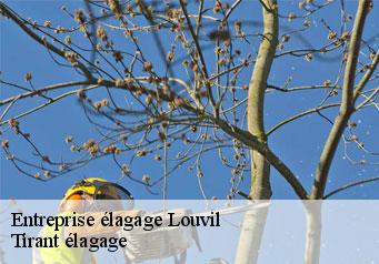 Entreprise élagage louvil-59830 Tirant élagage
