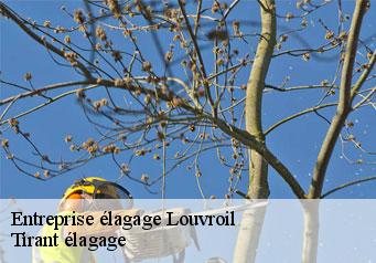 Entreprise élagage louvroil-59720 Tirant élagage