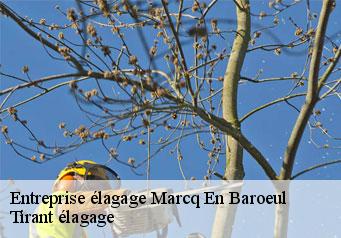 Entreprise élagage  marcq-en-baroeul-59700 Tirant élagage