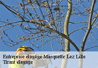 Entreprise élagage  marquette-lez-lille-59520 Tirant élagage