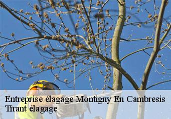 Entreprise élagage  montigny-en-cambresis-59225 Tirant élagage