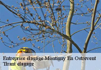 Entreprise élagage  montigny-en-ostrevent-59182 Tirant élagage