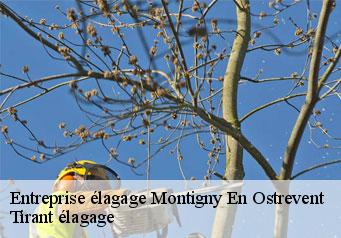 Entreprise élagage montigny-en-ostrevent-59182 Tirant élagage