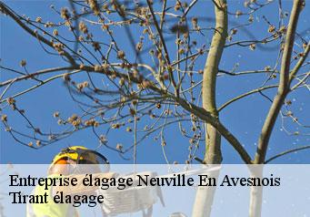 Entreprise élagage  neuville-en-avesnois-59218 Tirant élagage