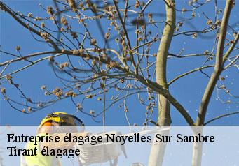 Entreprise élagage  noyelles-sur-sambre-59550 Tirant élagage
