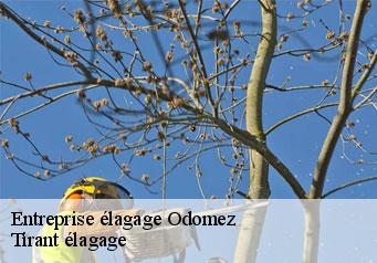 Entreprise élagage odomez-59970 Tirant élagage