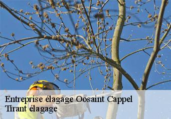 Entreprise élagage  oosaint-cappel-59122 Tirant élagage