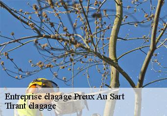 Entreprise élagage preux-au-sart-59144 Tirant élagage