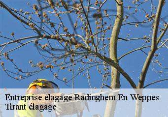 Entreprise élagage  radinghem-en-weppes-59320 Tirant élagage