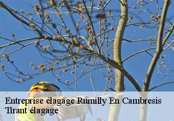 Entreprise élagage rumilly-en-cambresis-59281 Tirant élagage