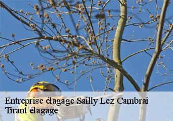 Entreprise élagage sailly-lez-cambrai-59554 Tirant élagage