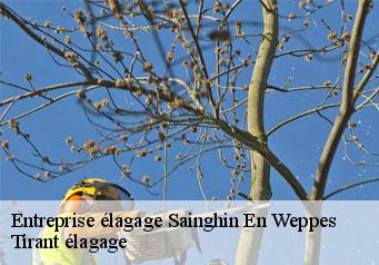 Entreprise élagage  sainghin-en-weppes-59184 Tirant élagage