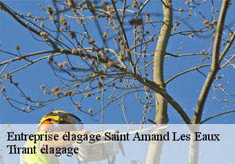 Entreprise élagage saint-amand-les-eaux-59230 Clement élagage