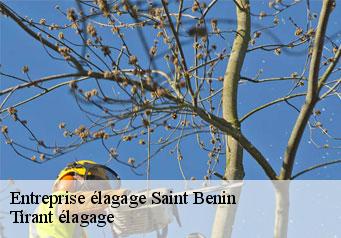 Entreprise élagage saint-benin-59360 Tirant élagage