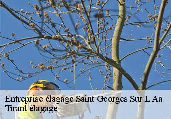 Entreprise élagage saint-georges-sur-l-aa-59820 Tirant élagage