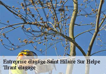 Entreprise élagage saint-hilaire-sur-helpe-59440 Clement élagage