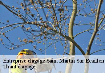 Entreprise élagage saint-martin-sur-ecaillon-59213 Clement élagage