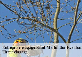 Entreprise élagage  saint-martin-sur-ecaillon-59213 Tirant élagage