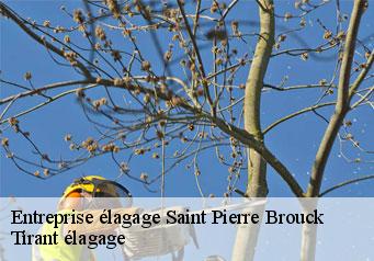 Entreprise élagage saint-pierre-brouck-59630 Tirant élagage