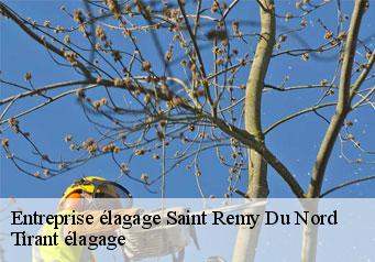 Entreprise élagage  saint-remy-du-nord-59330 Tirant élagage