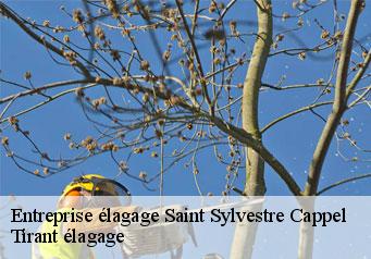 Entreprise élagage  saint-sylvestre-cappel-59114 Tirant élagage