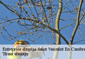Entreprise élagage saint-vaasaint-en-cambresis-59188 Clement élagage