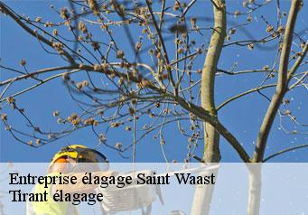 Entreprise élagage  saint-waast-59570 Tirant élagage