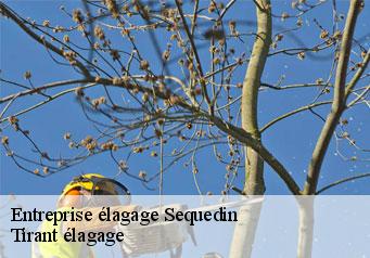 Entreprise élagage sequedin-59320 Tirant élagage
