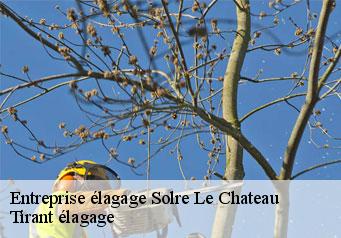 Entreprise élagage solre-le-chateau-59740 Clement élagage